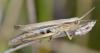 329739 – Photo : Christian Berquer – France (29)
